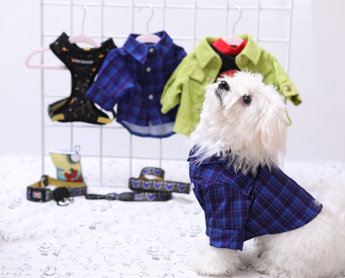 Points To Remember When Buying Designer Clothes For Your Dog