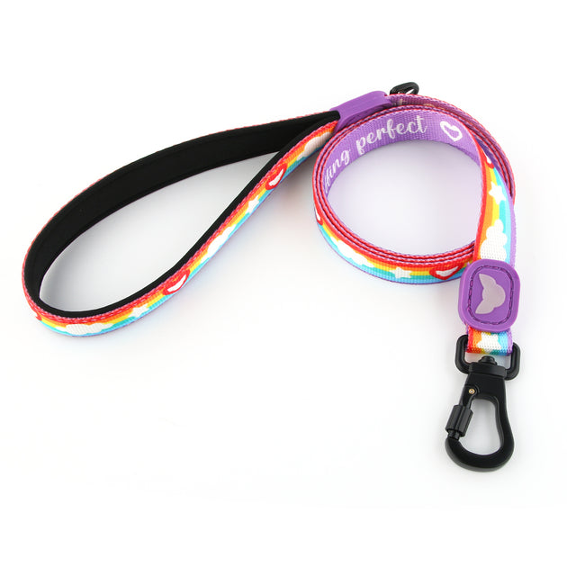 Colorful dog leashes best sale