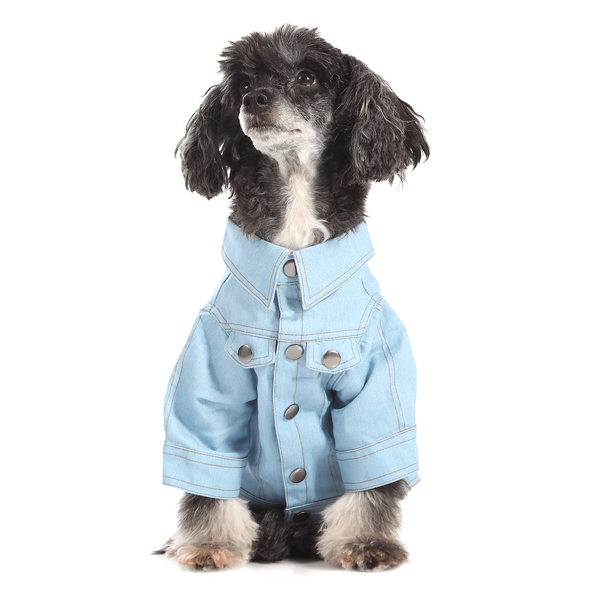 Dog 2025 jean jacket