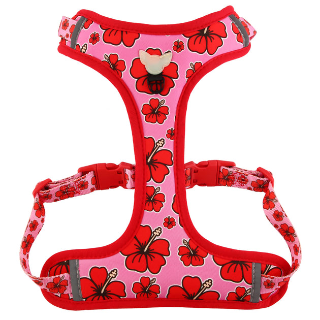 Harness toy cheap