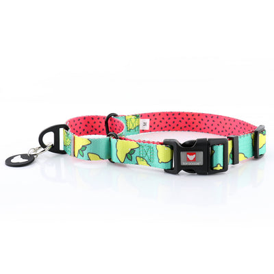 Toy Doggie Cat and Dog Accessories- Martingale Collar