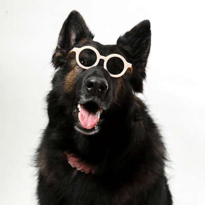 Toy Doggie Cat and Dog Accessories- Pet Sunglasses