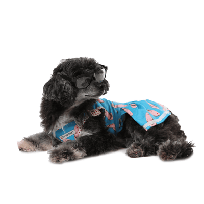 Toy Doggie Cat and Dog Accessories- Pet Clothes- Puerto Rico