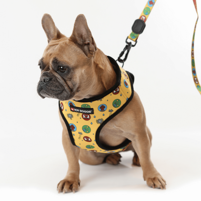 Toy Doggie Cat and Dog Accessories- Pet Harness- Puerto Rico