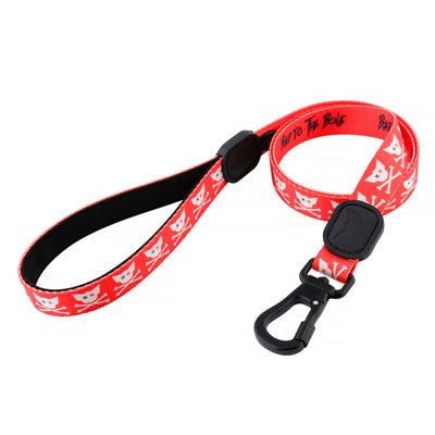 Toy Doggie Cat and Dog Accessories- Collar and Leash