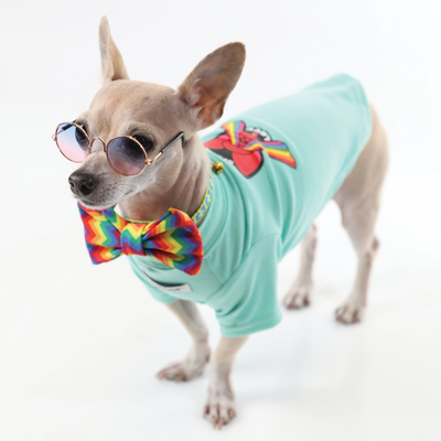 Toy Doggie Cat and Dog Accessories- Pet Clothes- Puerto Rico