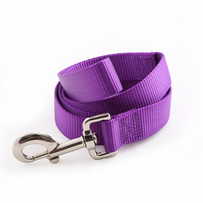 Toy Doggie™ - Vibrant Purple Nylon Dog Leash