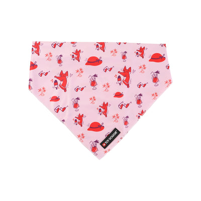 Toy Doggie Cat and Dog Accessories- Bandana- Cooldoggie Cooling Down