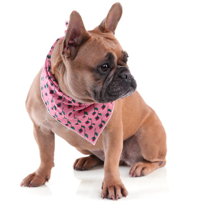 Toy Doggie Cat and Dog Accessories- Bandanas- Cool Doggie Cooling Down