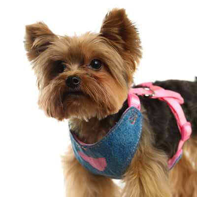 Toy Doggie Cat and Dog Accessories- Denim Pet Harness